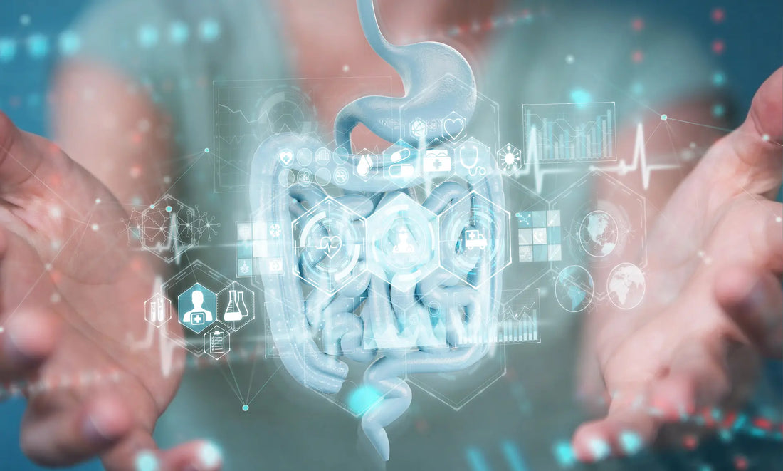 The 9 Best Supplements for Gut Inflammation (Backed by Science)