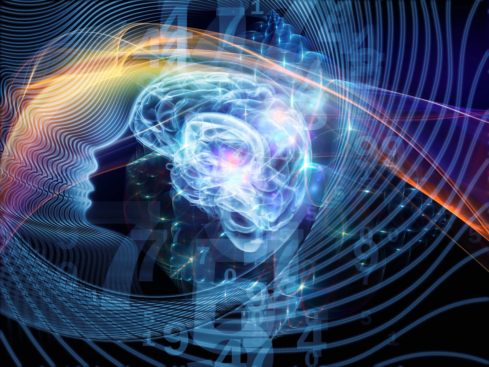 best focus supplements for adults