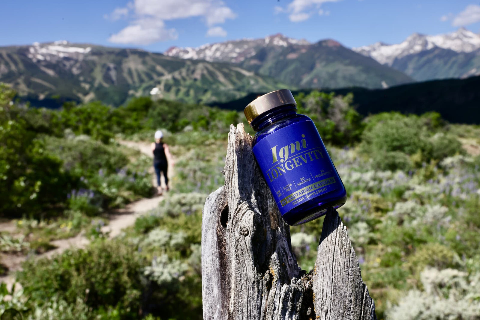 best supplements for energy and focus