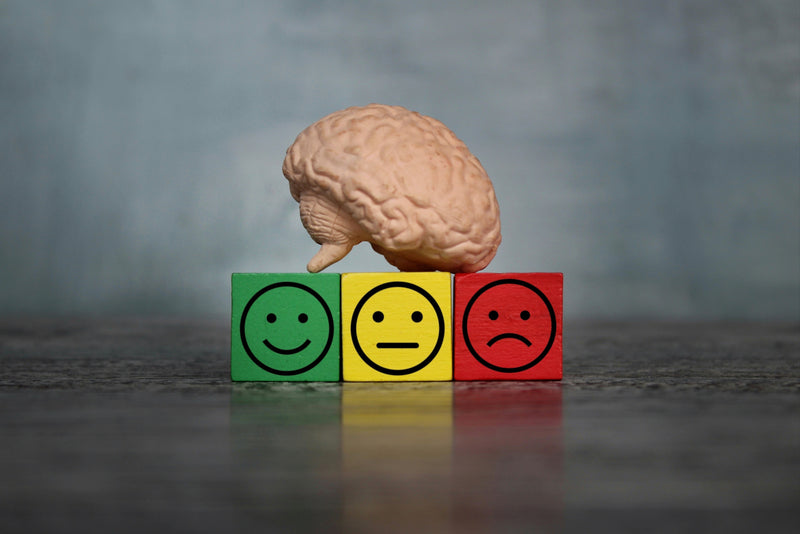 Brain Fog Is Not Normal. Here's the Difference Between a Bad Week and a Real Warning Sign.