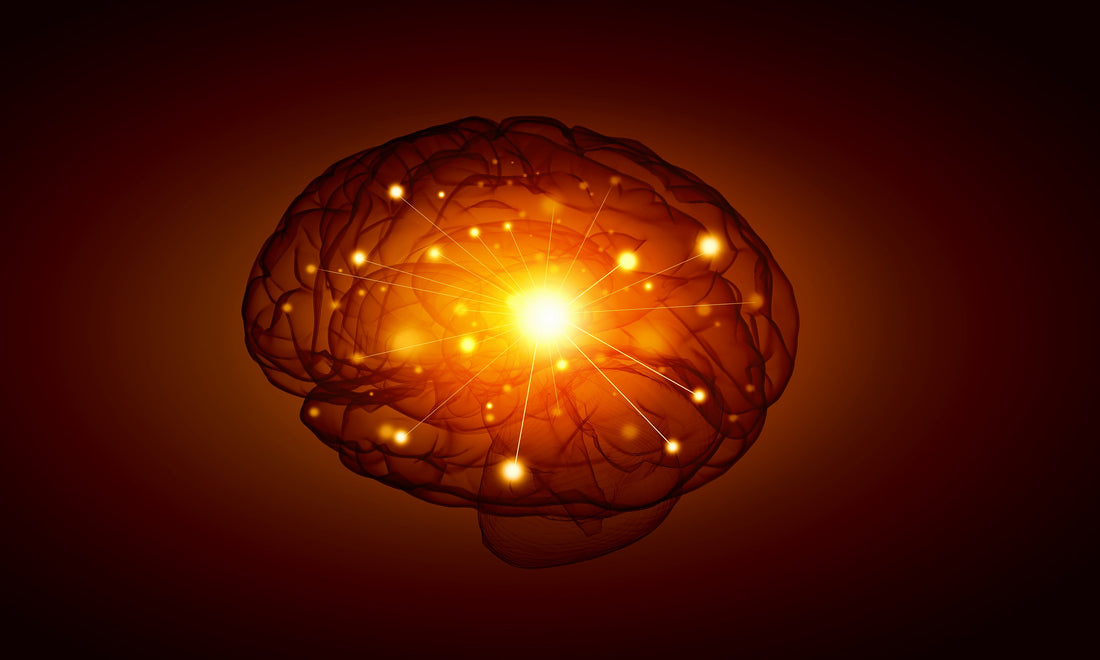 What Is an Igniton?