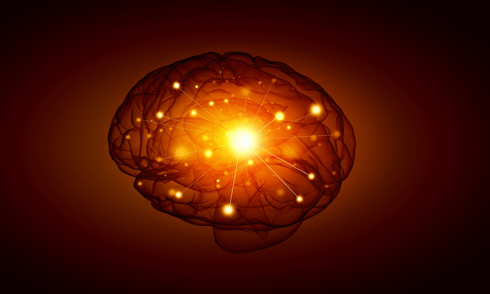 What Is an Igniton?