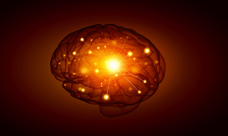 What Is an Igniton?