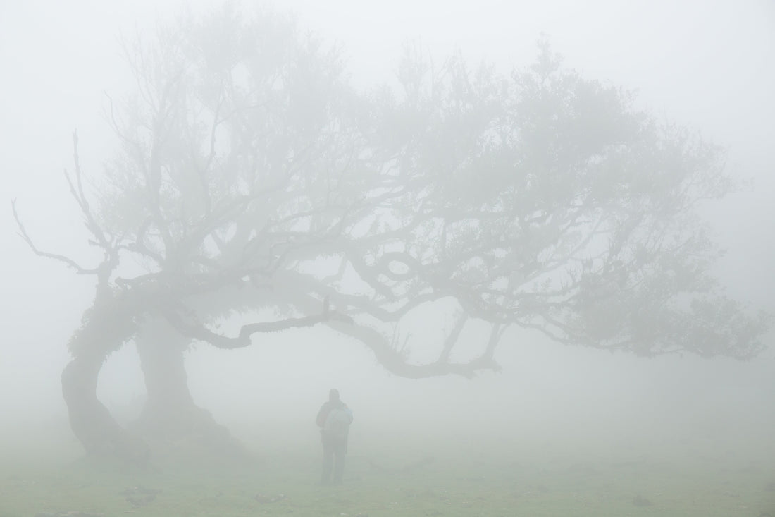 Why Does My Brain Feel Foggy? The Science Behind Afternoon Mental Fatigue