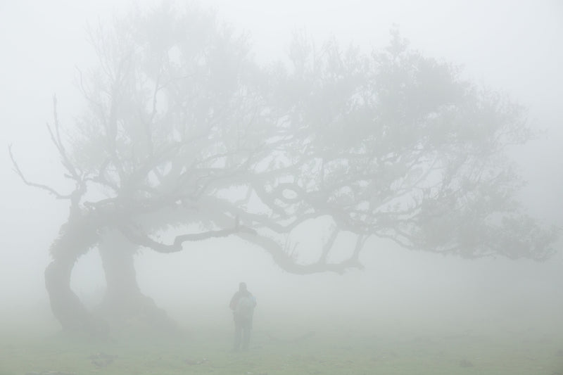 Why Does My Brain Feel Foggy? The Science Behind Afternoon Mental Fatigue
