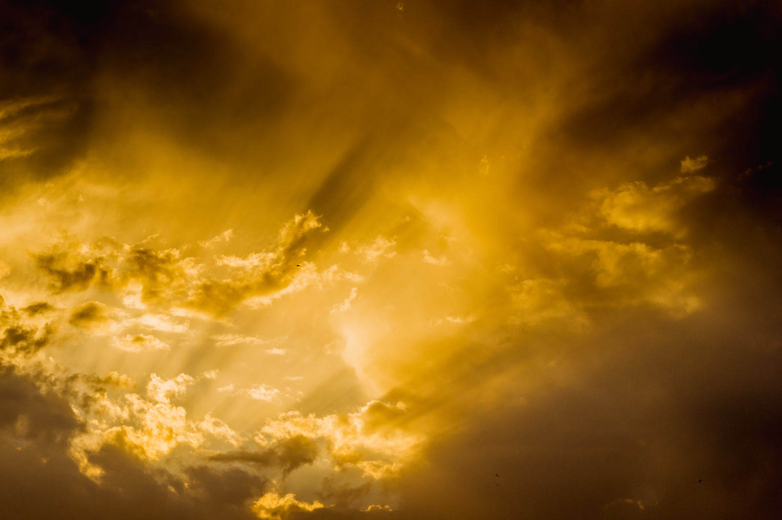 How Long Does Brain Fog Recovery Take?