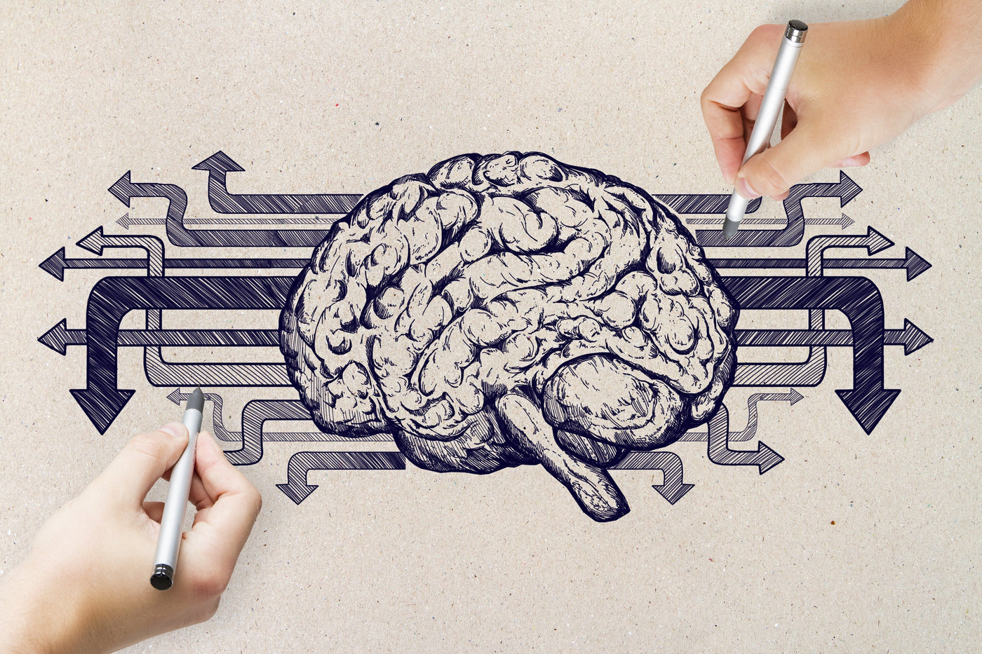Your Brain Can Still Grow New Connections. Here's the Science of How to Make It Happen