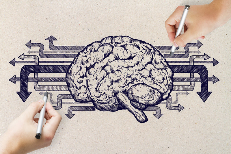 Your Brain Can Still Grow New Connections. Here's the Science of How to Make It Happen