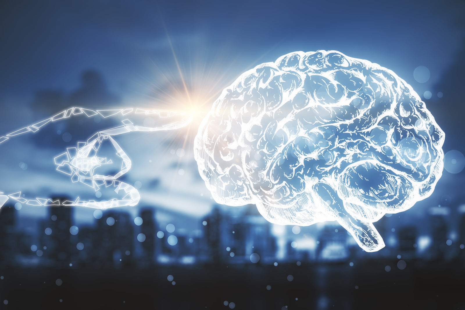 Best Supplements for Sustained Focus and Energy for Professionals