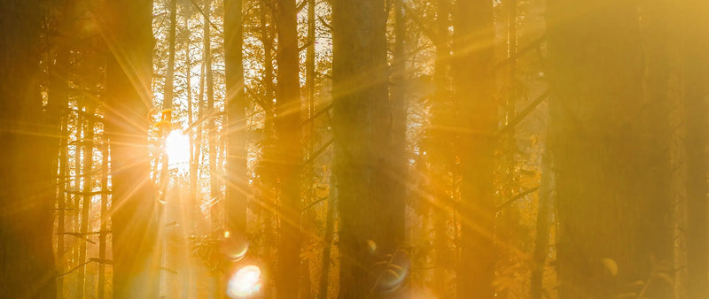 The Moment Before the Next Age