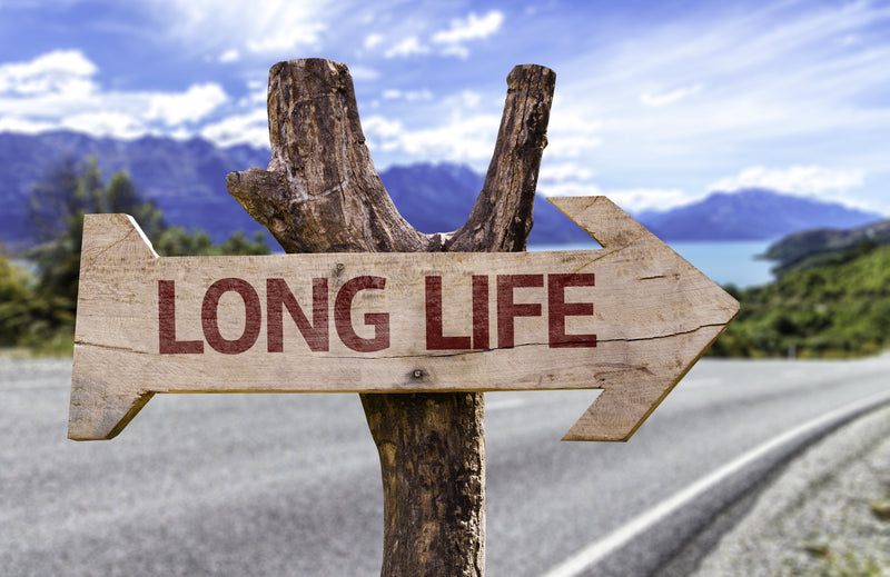 Healthspan vs. Lifespan: Why the Last Ten Years Matter More Than the Total Number