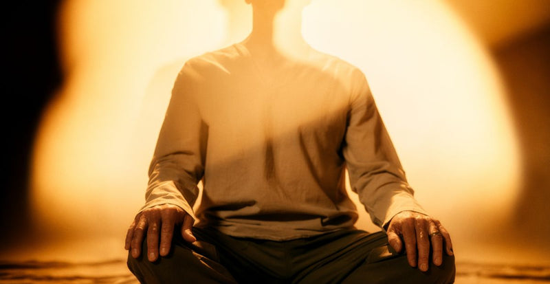 The Unseen Forces That Shape Our Health