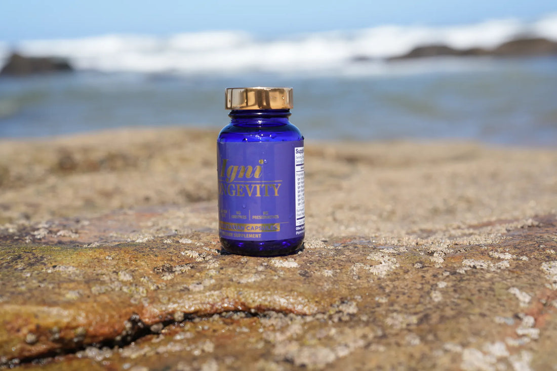 Supplements for Oxidative Stress | Antioxidant Support for Cellular Balance