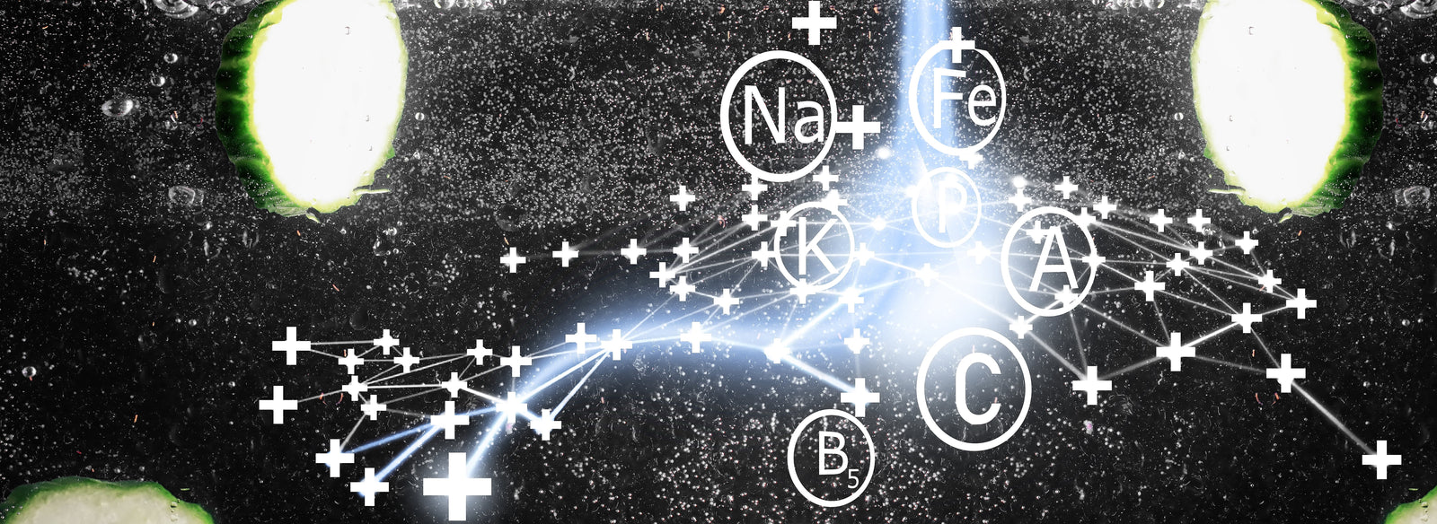 What Is Quantum Biology? A Plain-Language Guide for Non-Scientists