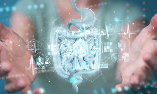 The 9 Best Supplements for Gut Inflammation (Backed by Science)