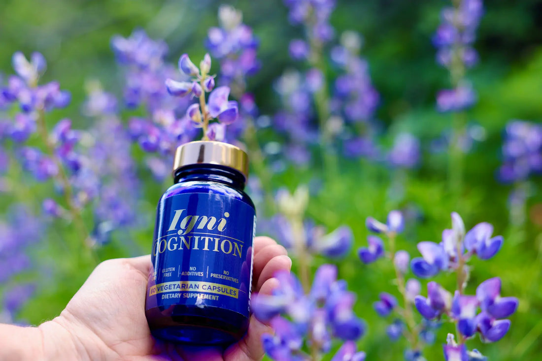 What Is Igniton? Discovering the Quantum Science Behind Human Optimization