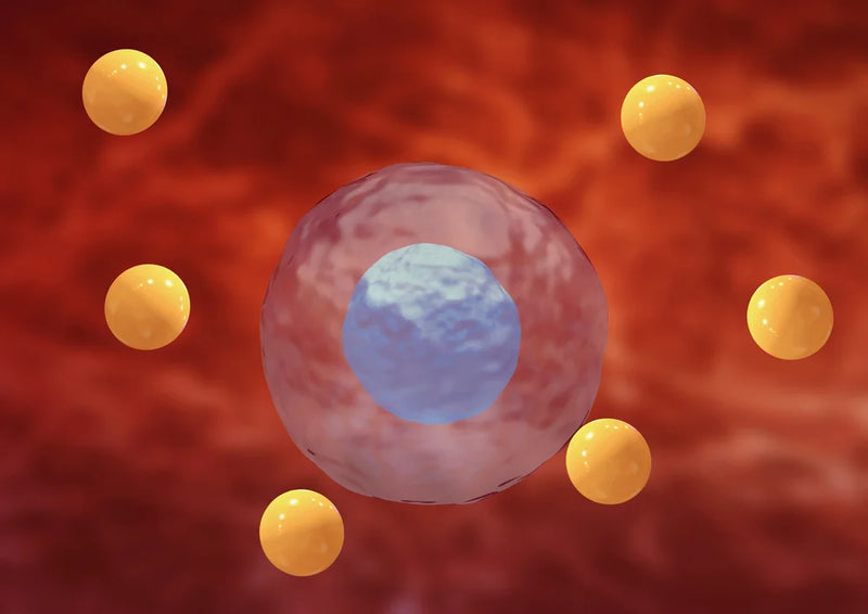 What is Oxidative Stress?