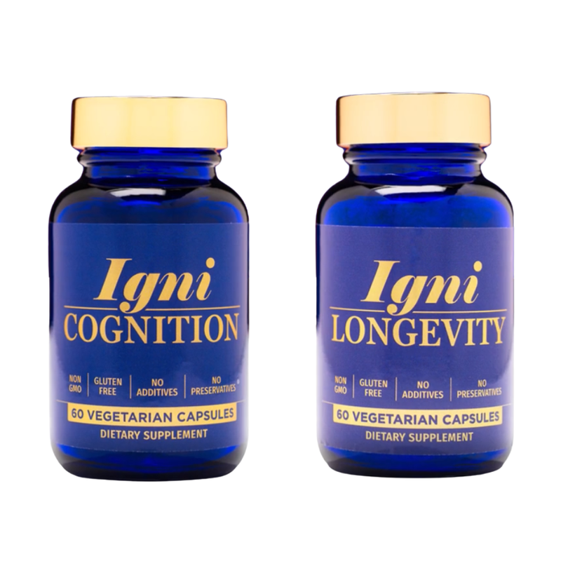 They Work Together to Support the Brain and Body