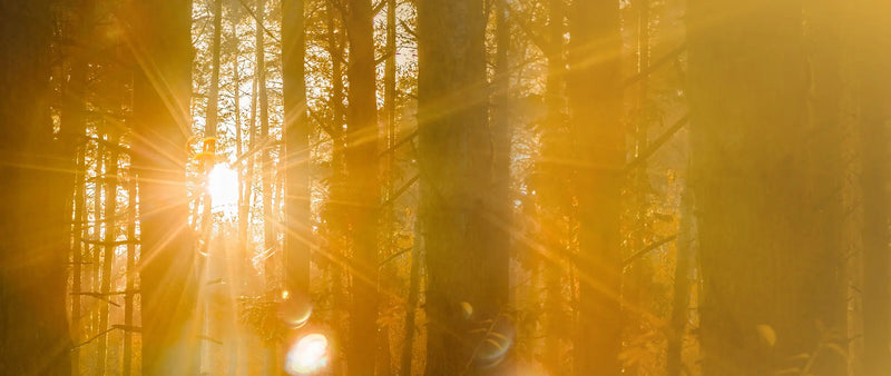 Washington D.C. Experiment