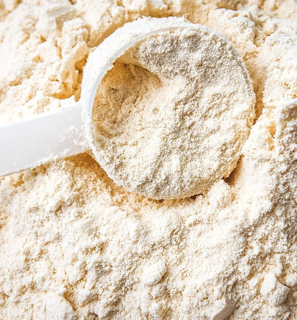 Nicotinamide Riboside