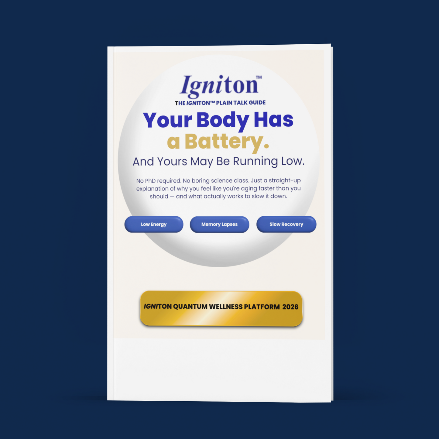 Achieving Rapid Cognitive Gains E-book