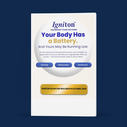 Achieving Rapid Cognitive Gains E-book