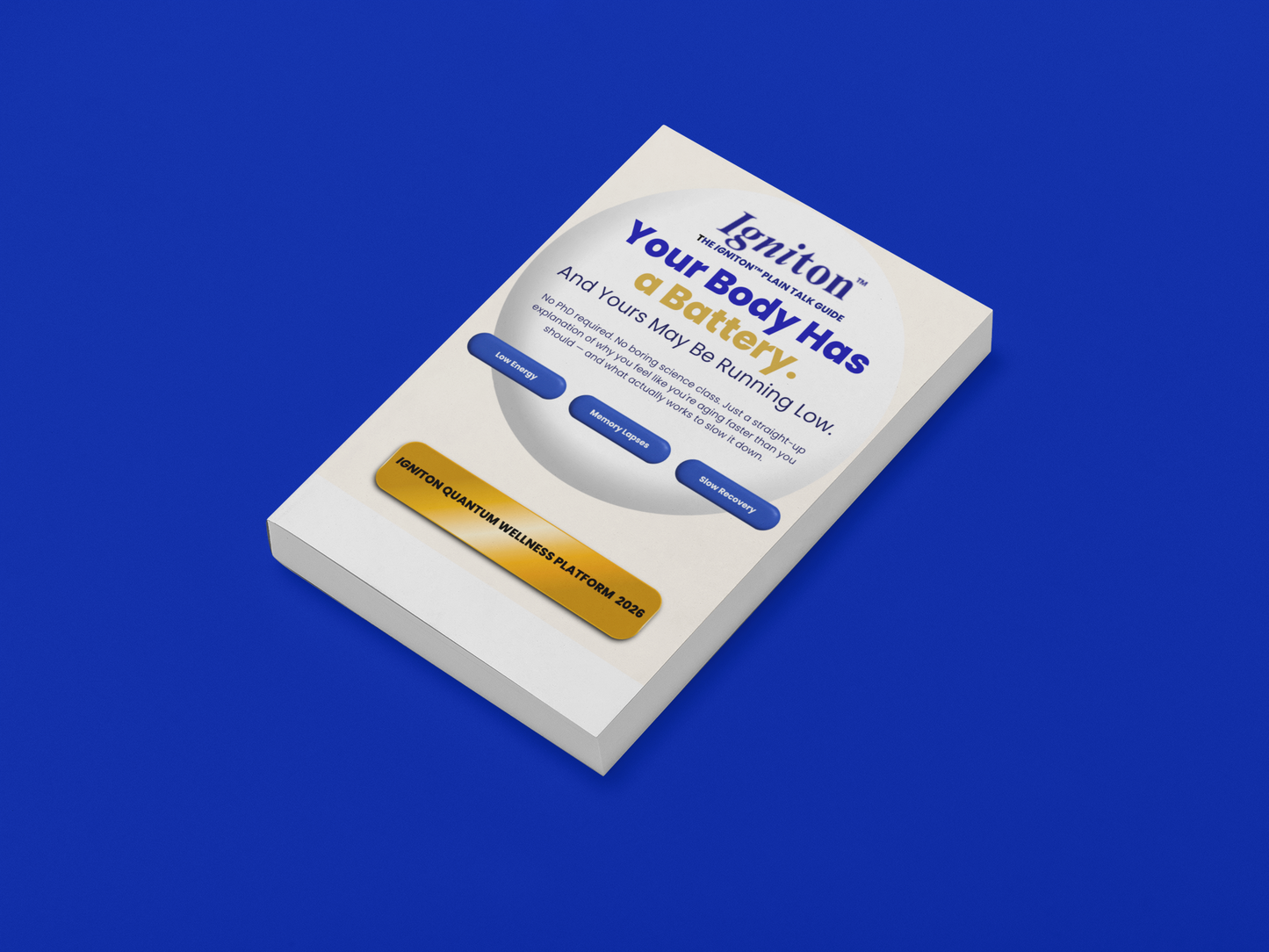Achieving Rapid Cognitive Gains E-book