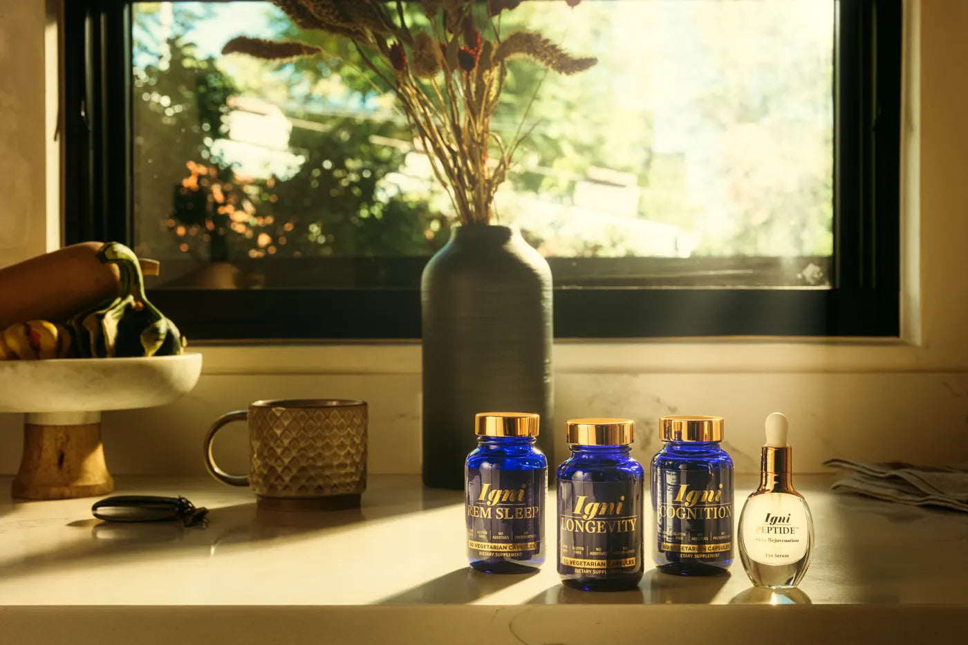 All four Igniton products together in golden light